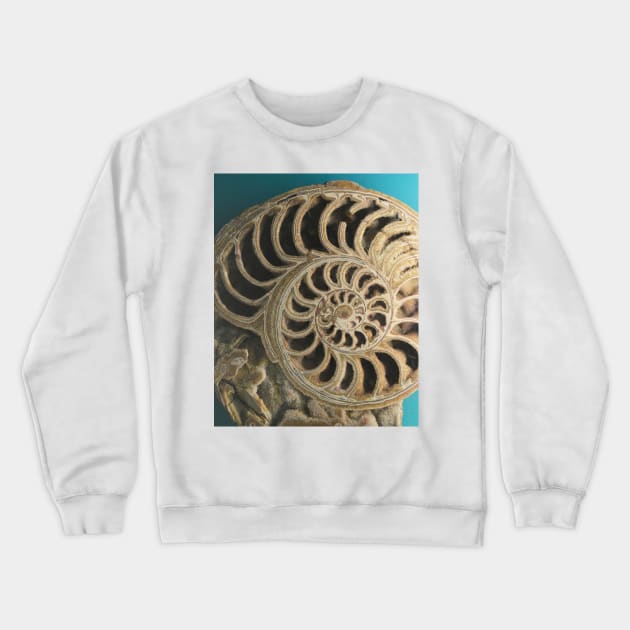 Ammonoid. Sedgwick Museum of Earth Sciences. Cambridge, UK Crewneck Sweatshirt by IgorPozdnyakov